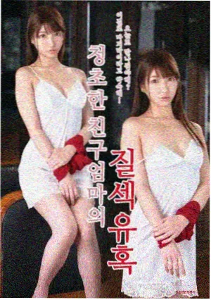 樱色回响TV动画